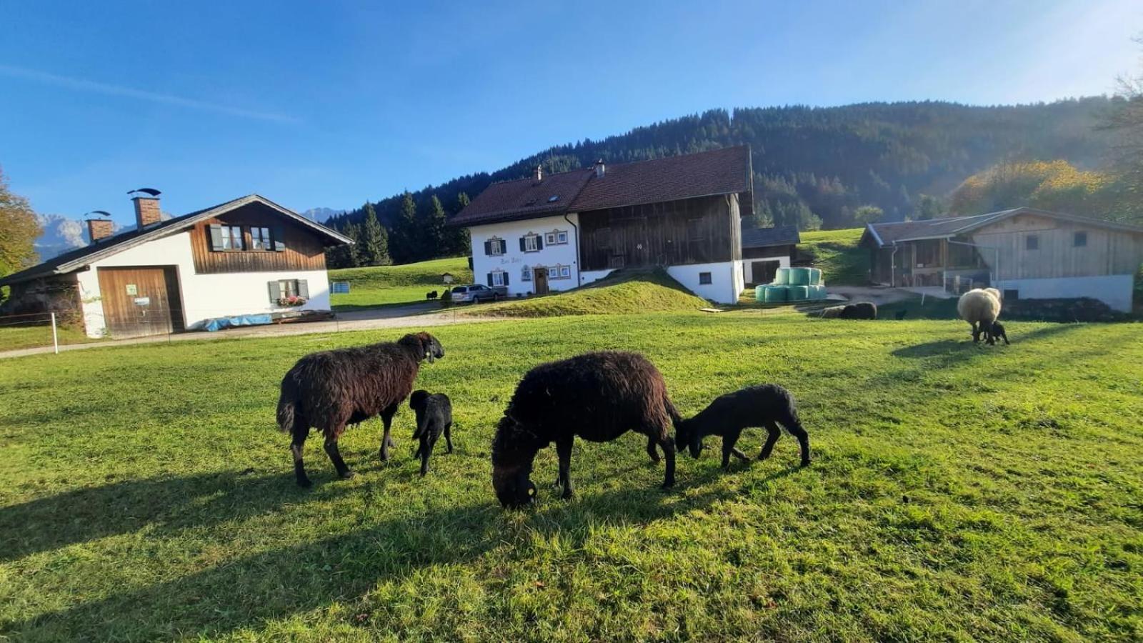 Bauernhaus Jocher 克伦 外观 照片